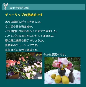 ブログ本原稿