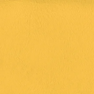 だいだい